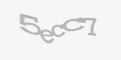 Código de segurança